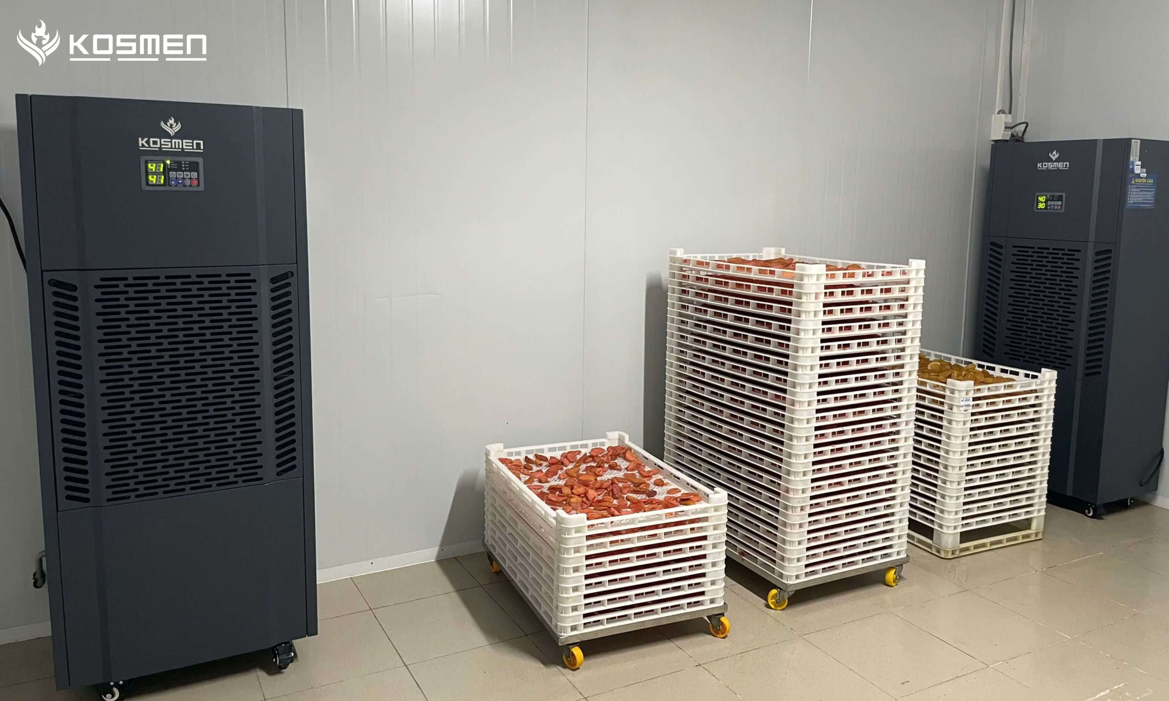 M&aacute;y h&uacute;t ẩm Kosmen KM-250S được ứng dụng để sấy tr&aacute;i c&acirc;y