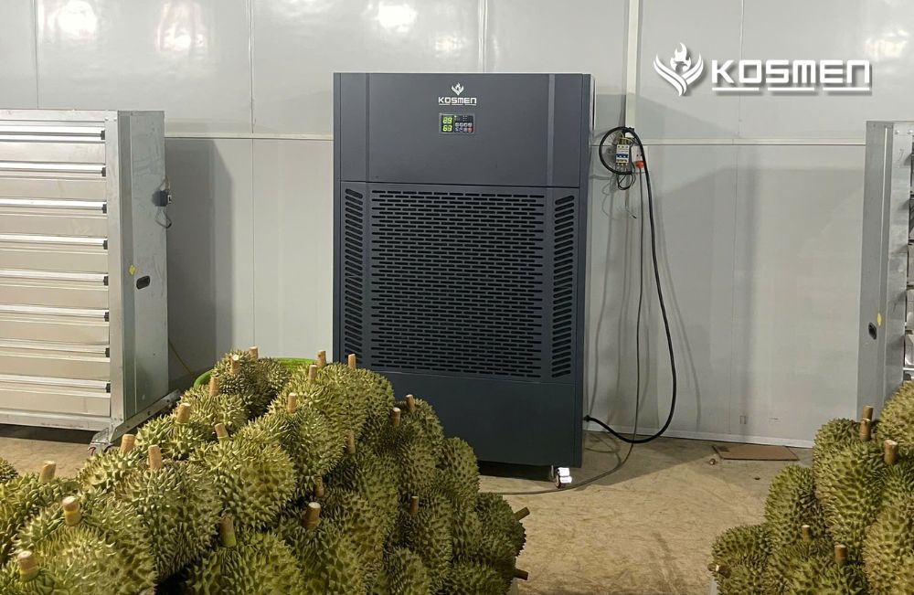 Kosmen industrial dehumidifiers were installed at a durian warehouse in Dak Lak 