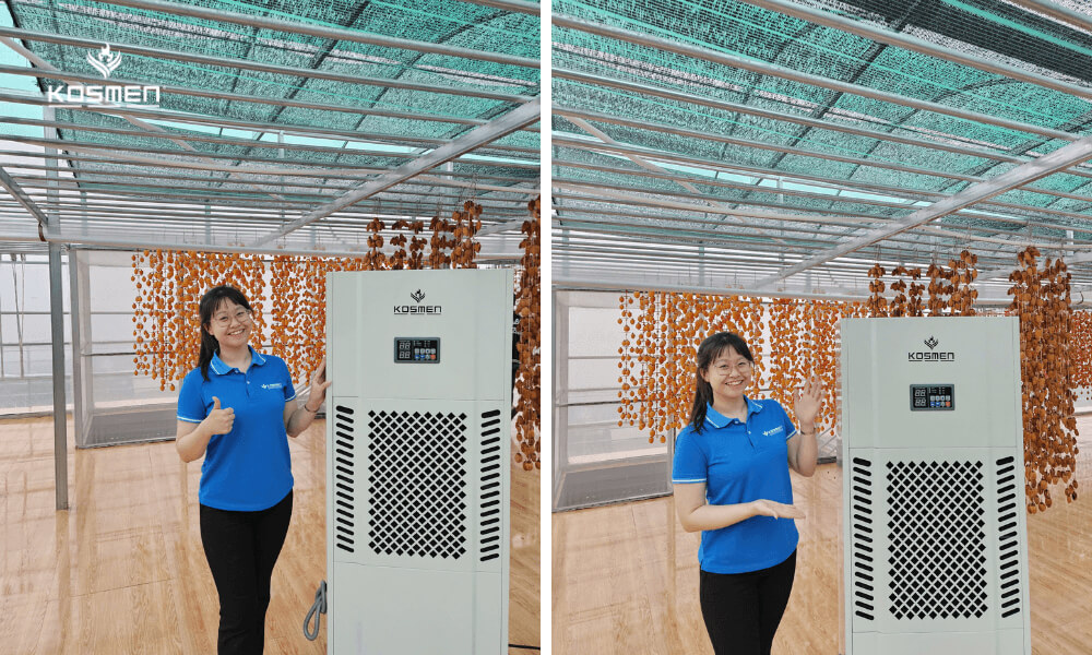  The Kosmen KM-180S dehumidifier is applied in wind-dried persimmon production 