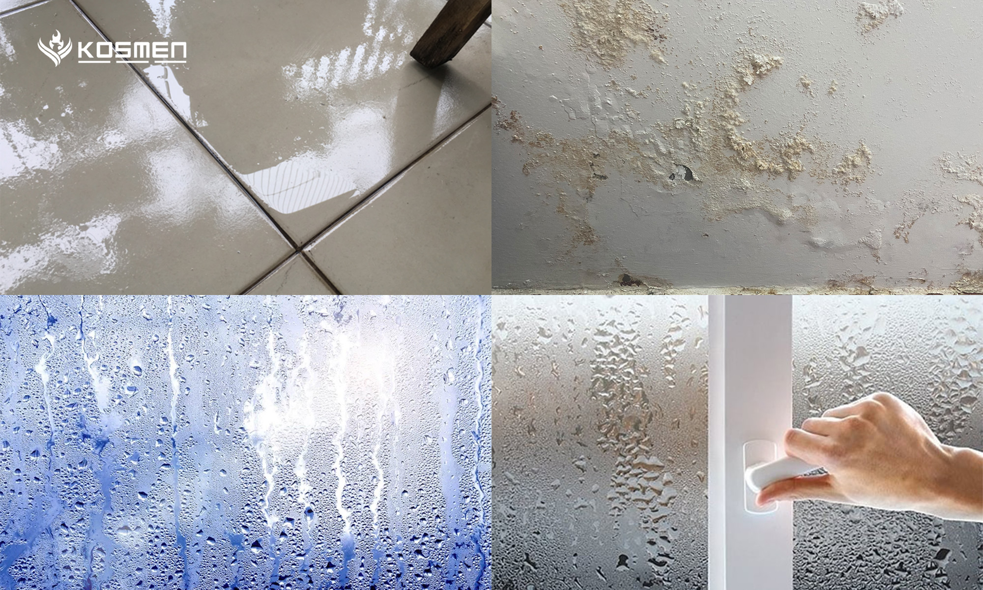 Excess moisture causes wet floors, damp walls, and various inconveniences