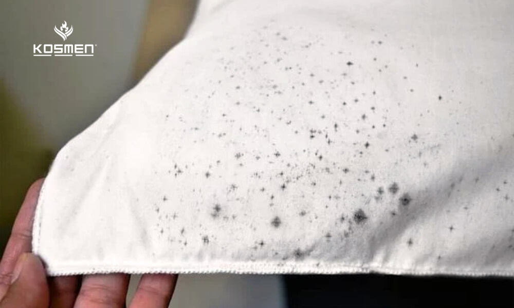 Fabrics can develop mold due to poor humidity control