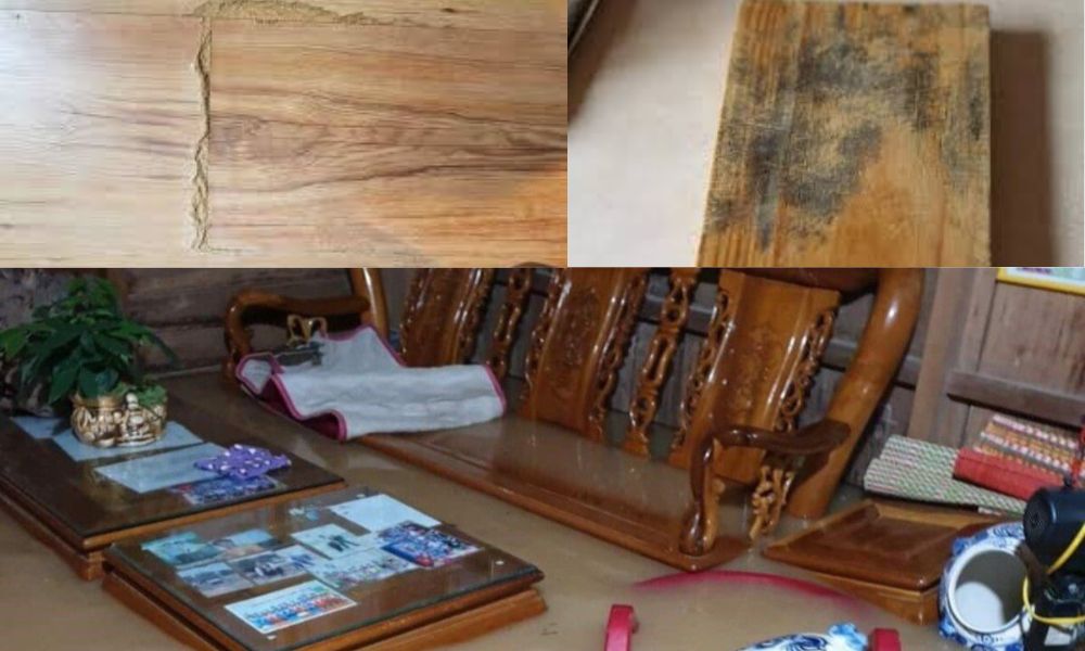 Furniture is highly susceptible to mold after storm damage