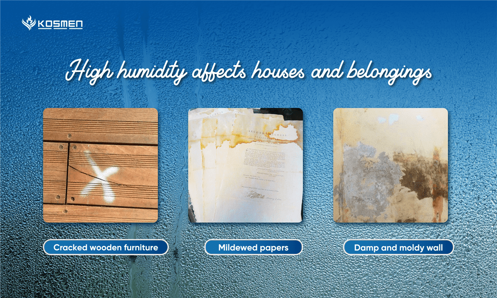 high humidity affect houses and belongings