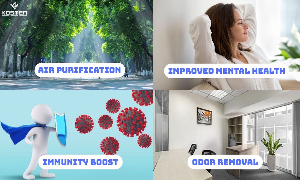 Benefits of negative ions for health and living environment