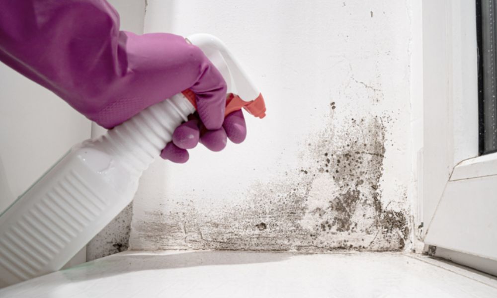 Many people use mold-removal solutions to deal with dampness and mold