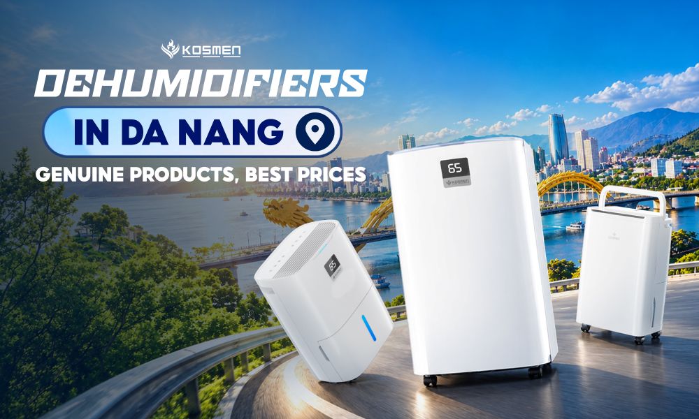 Where To Buy High-Quality, Genuine Dehumidifiers In Da Nang