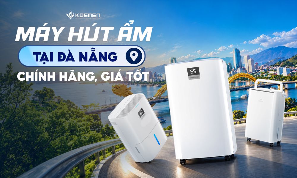 Địa Chỉ Bán Máy Hút Ẩm Đà Nẵng Chất Lượng, Chính Hãng