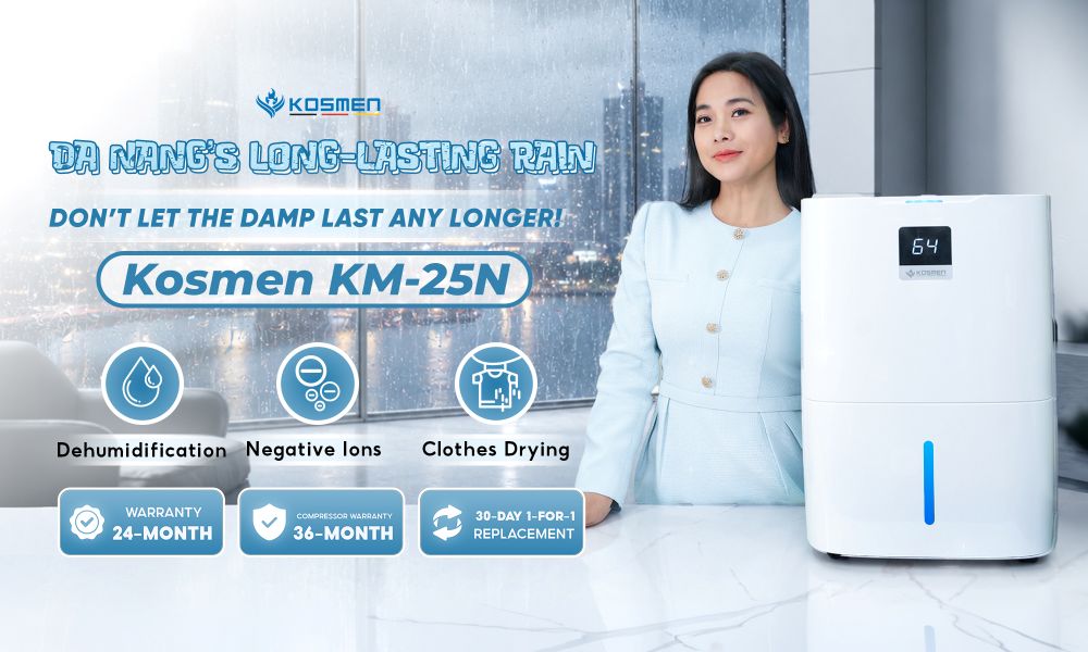 Use a dehumidifier to control indoor humidity during prolonged rainy weather