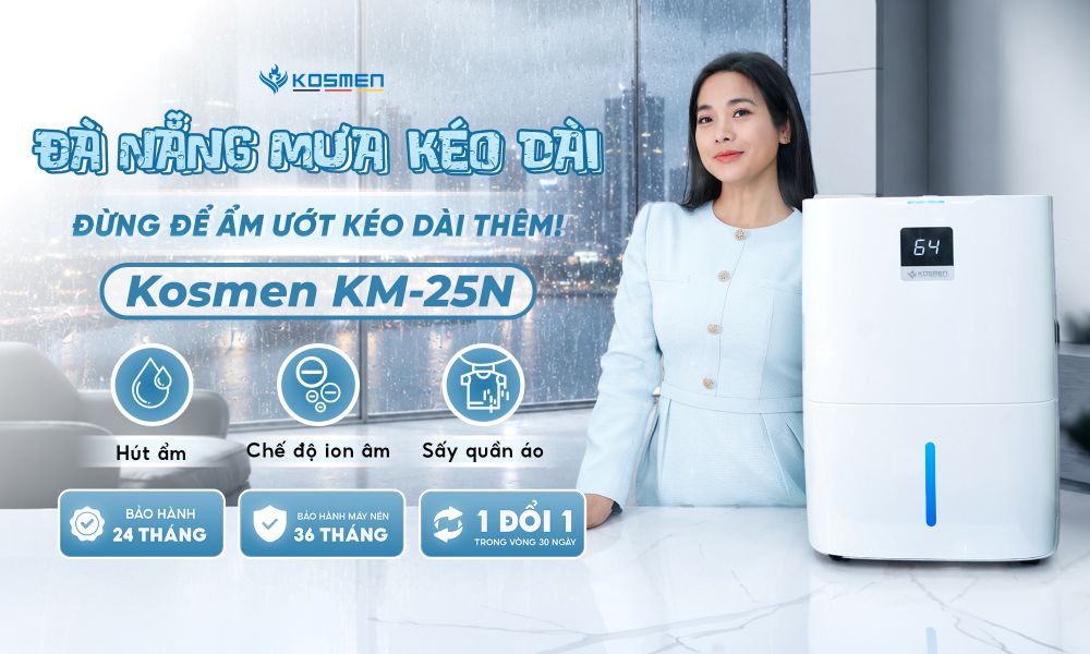 Dùng máy hút ẩm để chủ động kiểm soát ẩm trong giai đoạn mưa ẩm kéo dài