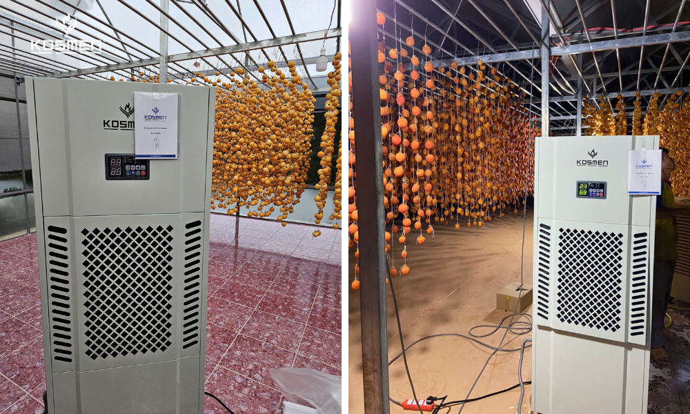 The Kosmen KM-180S dehumidifier regulates humidity for wind-dried persimmon processing